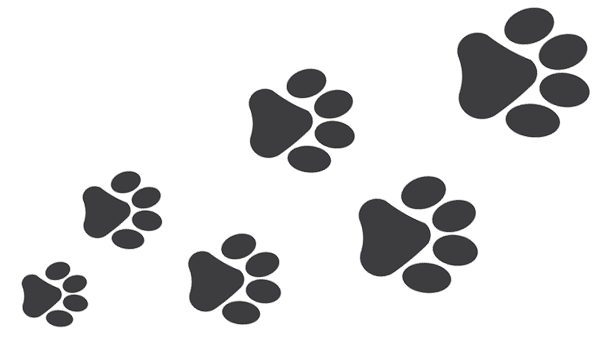 Selecting planning software – 3 essential steps