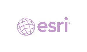 The purple logo of esri IT professionals