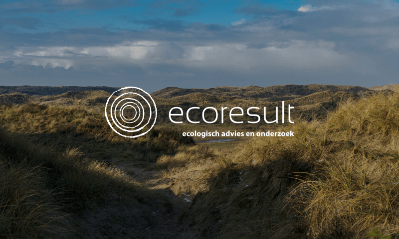 Ecoresult