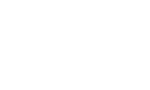 Dynamics wit